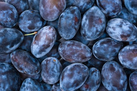 Fresh plums background. Top view. Organic food.の写真素材