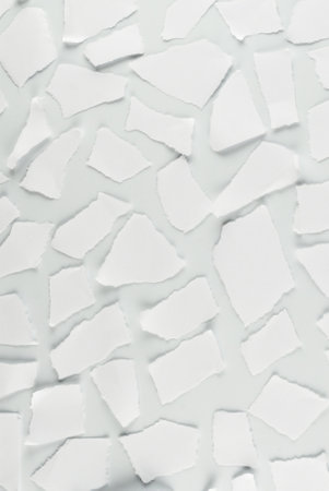 Empty white paper pieces isolated. Space for text or design.の写真素材