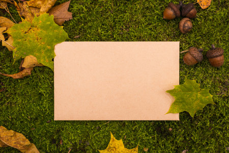 Empty greeting card on a grass in autumn park. Top view. Space for text or design.の写真素材