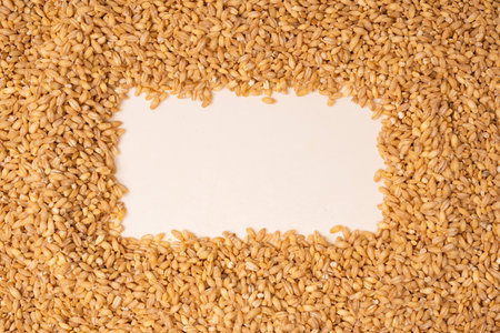 Wheat grain isolated on a white background. Top view.の写真素材