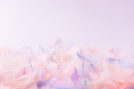 Colorful feather background, top view. Copy space.の写真素材