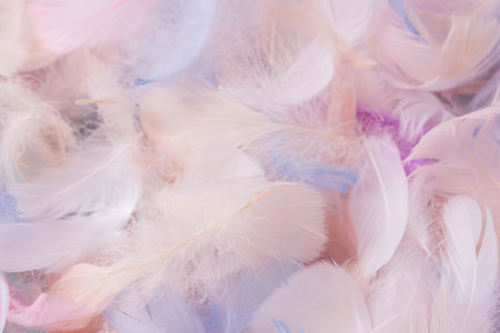 Colorful feather background, top view. Copy space.の写真素材