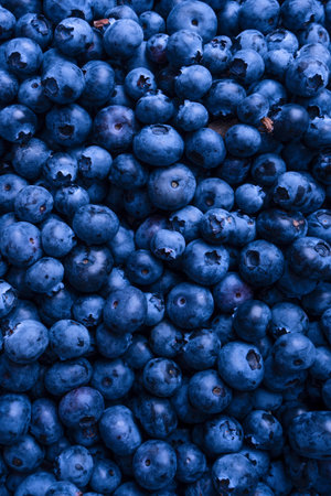 Fresh blueberry as a background. Texture blueberry berries close up.の写真素材