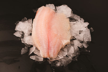 Fresh tilapia fillet on ice on black backgroundの写真素材