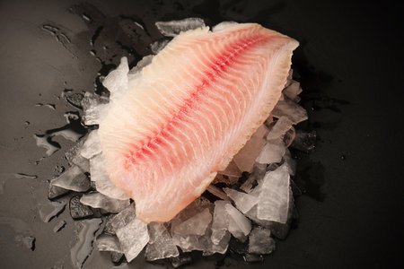 Fresh tilapia fillet on ice on black backgroundの写真素材