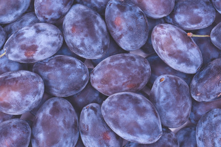 Fresh plums background. Top view. Organic food.の写真素材