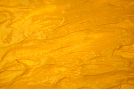 Yellow sauce splashes as a background. Top view.