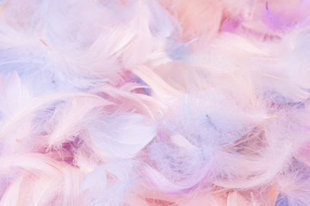 Colorful feather background, top view. Copy space.の写真素材