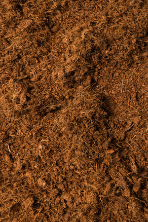 Coconut substrate background. Top view.の写真素材