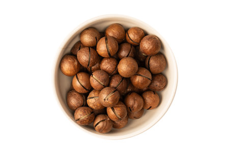 Macadamia nuts in a shell isolated on a white background. Top view.の写真素材
