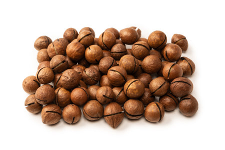 Macadamia nuts in a shell isolated on a white background. Top view.の写真素材