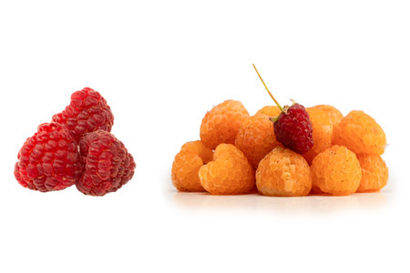 Tasty fresh raspberry isolated on a white background. Top view.の写真素材
