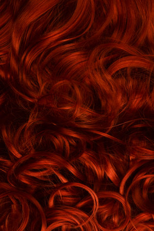 Red hair background. Curly red hair.の写真素材