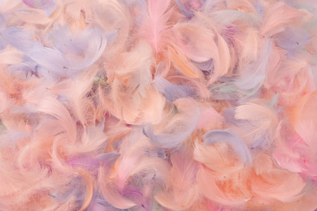Colorful feather background, top view. Copy space.の写真素材