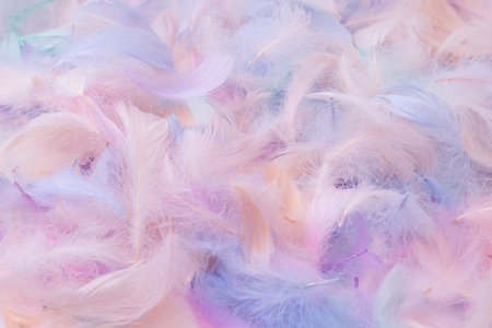 Colorful feather background, top view. Copy space.