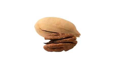 Pecan-nut in a shell isolated on white background. Top view.