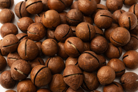 Macadamia nuts in a shell isolated on a white background. Top view.の写真素材