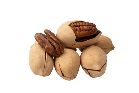 Pecan-nut in a shell isolated on white background. Top view.