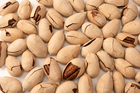 Pecan-nut in a shell isolated on white background. Top view.の写真素材