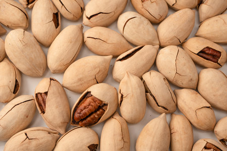Pecan-nut in a shell isolated on white background. Top view.