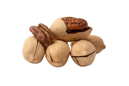 Pecan-nut in a shell isolated on white background. Top view.