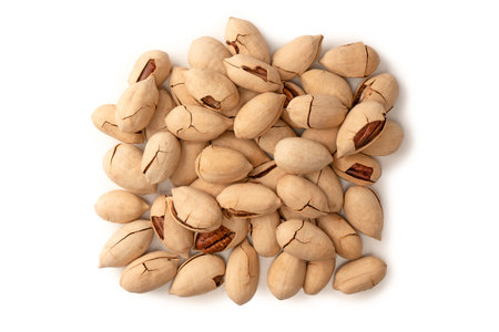 Pecan-nut in a shell isolated on white background. Top view.の写真素材