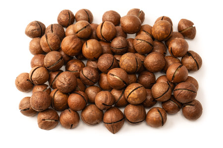 Macadamia nuts in a shell isolated on a white background. Top view.の写真素材