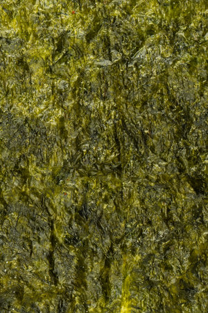 Tasty nori seaweed as a background. Top view.の写真素材