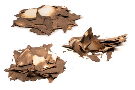 Burnt paper isolated on a white background. Copy space.