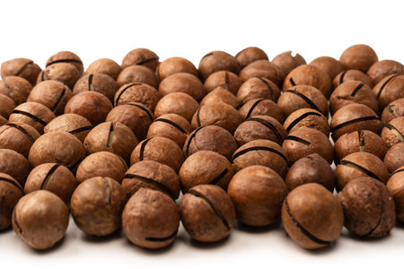 Macadamia nuts in a shell isolated on a white background. Top view.