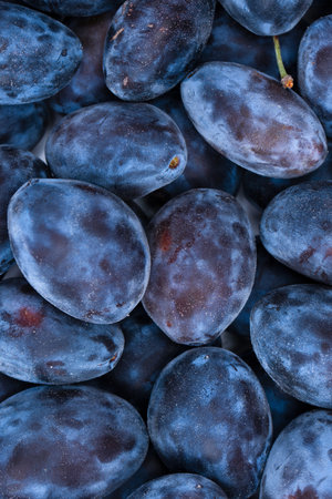 Fresh plums background. Top view. Organic food.の写真素材