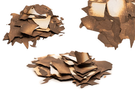 Burnt paper isolated on a white background. Copy space.の写真素材