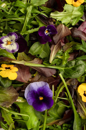 Fresh mix of salads with edible flowers.の写真素材