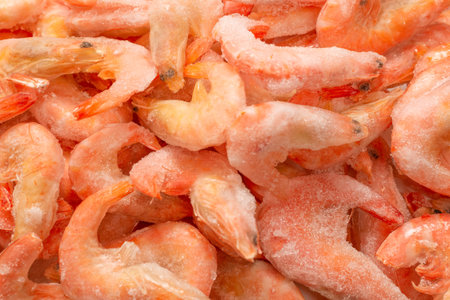 Fresh shrimps in ice. Top view.の写真素材