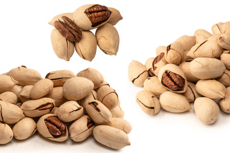 Pecan-nut in a shell isolated on white background. Top view.の写真素材