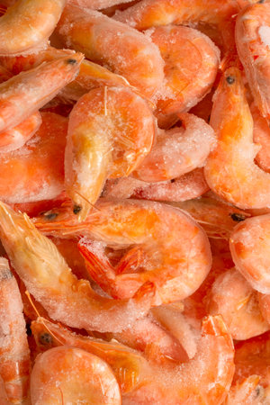 Fresh shrimps in ice. Top view.の写真素材