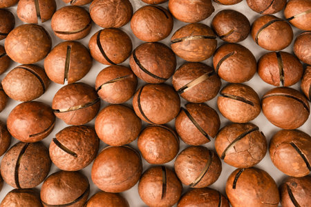 Macadamia nuts in a shell isolated on a white background. Top view.