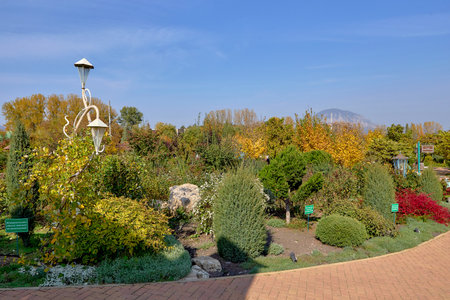 Green Quarter Family Recreation Parkの写真素材