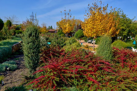 Green Quarter Family Recreation Parkの写真素材