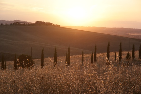 Landscape in Toscanaの写真素材