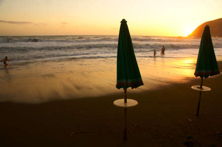 Green unbrellasの写真素材