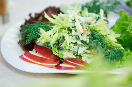 vegetable salad on a plateの写真素材