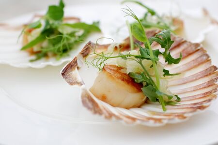 appetizerclose-up: scallops, onion fennel, herbsの写真素材
