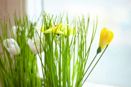 pot with flowers on the windowの写真素材