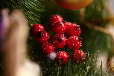 Christmas decorationの写真素材