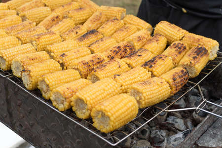 Corn on the grillの写真素材