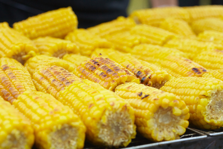Corn on the grillの写真素材