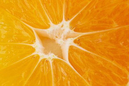 fruits isolated