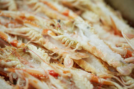 crayfishの写真素材