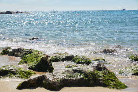 beach in Barcelonaの写真素材